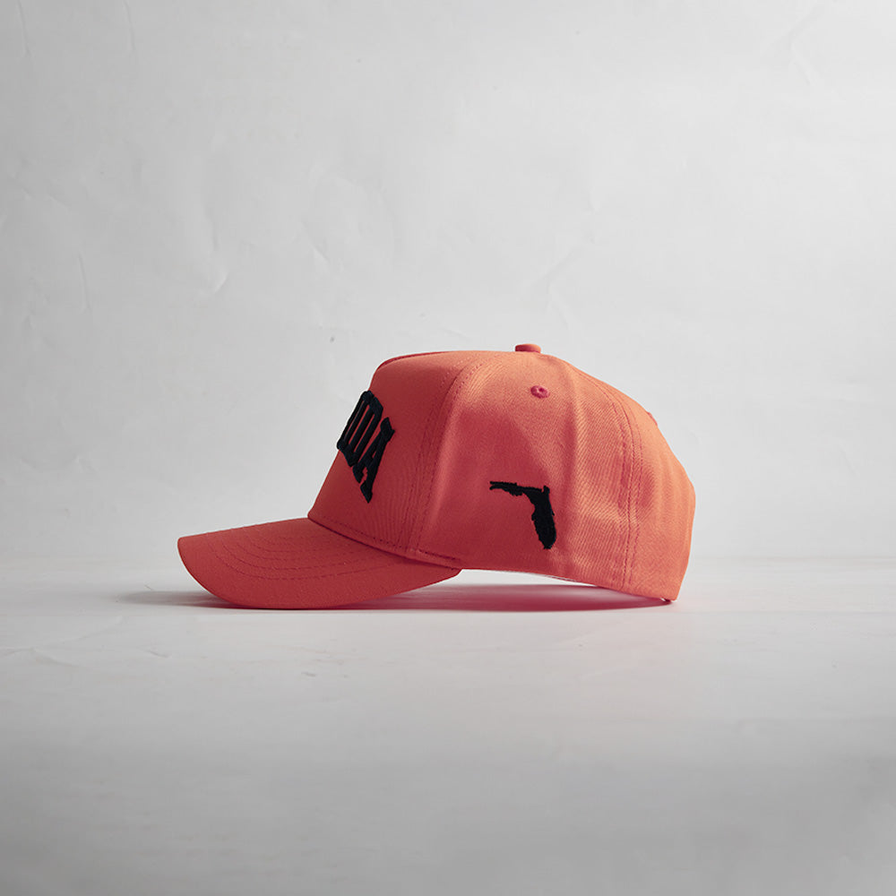 The State of Florida Legacy Snapback